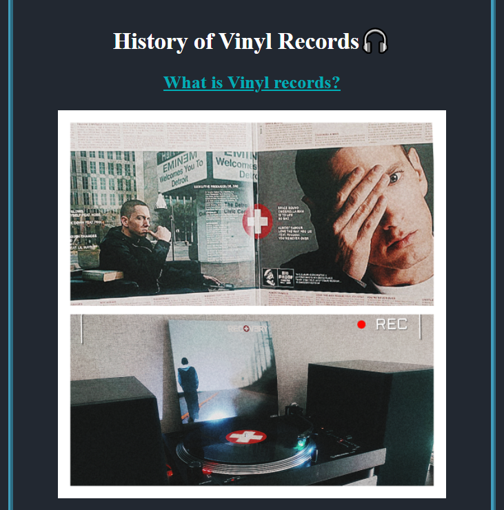 Vinyl history page